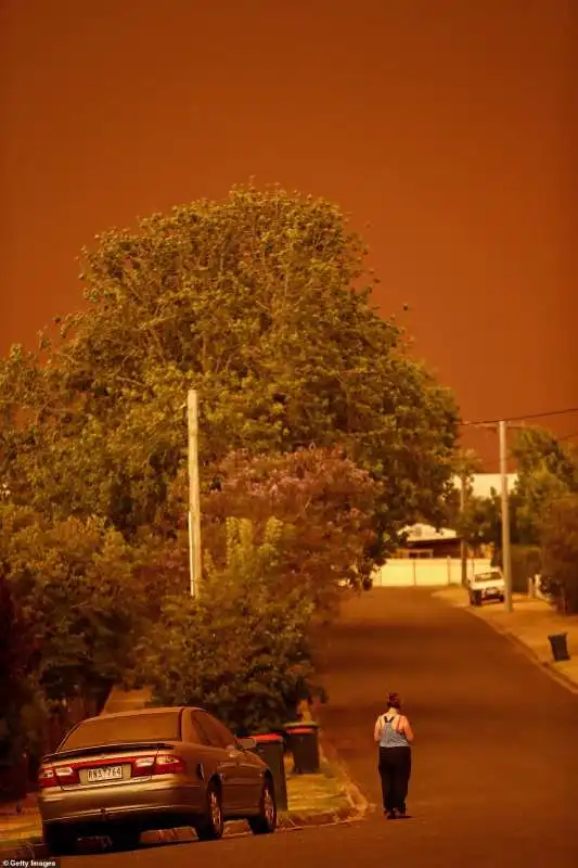 incendi in australia 4