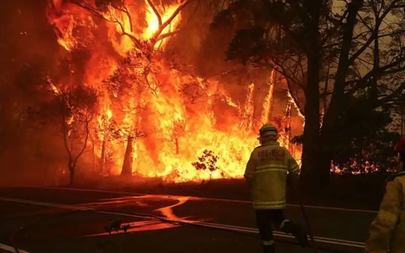 incendi in australia 4