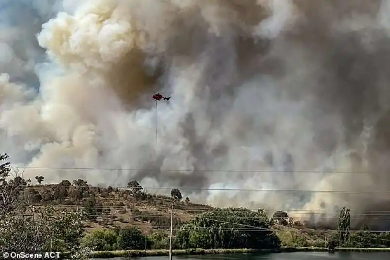 incendi in australia 4