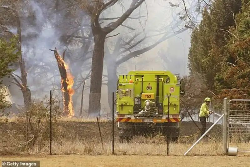 incendi in australia 5