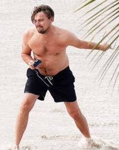 leonardo dicaprio 5