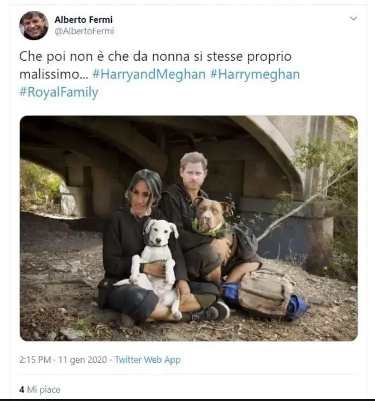 meme su harry e meghan 17