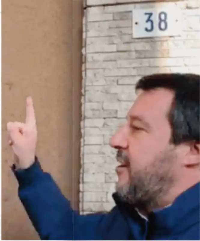 salvini