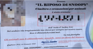 A ISCHIA AFFISSO UN MANIFESTO FUNEBRE PER UN CAGNOLINO INVESTITO DA UN'AUTO