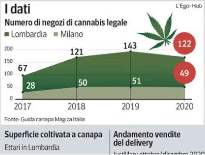 boom vendita cannabis light milano