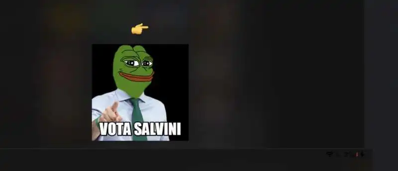 immagini su salvini