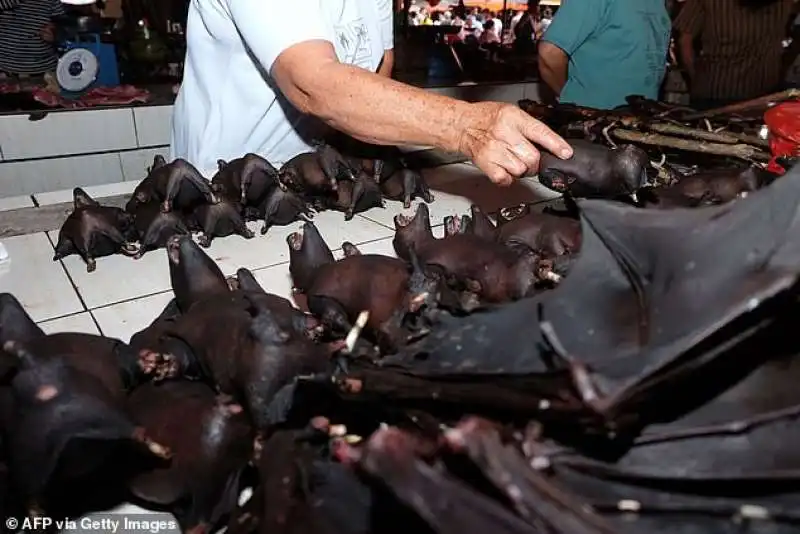 pipistrelli in un mercato 