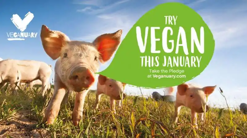 VEGANUARY  