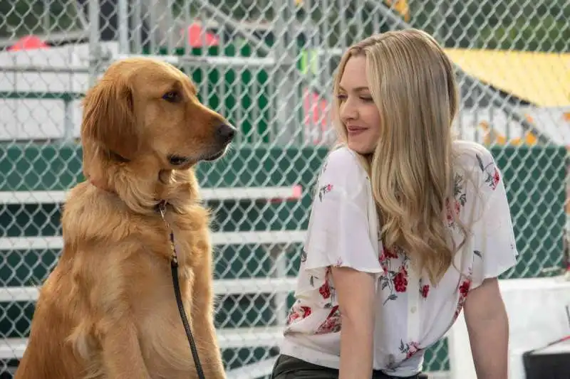 amanda seyfried   attraverso i miei occhi  