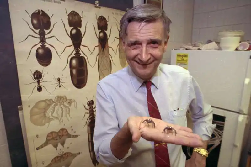 edward o. wilson  2