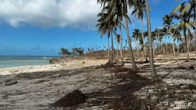 eruzione vulcanica tonga