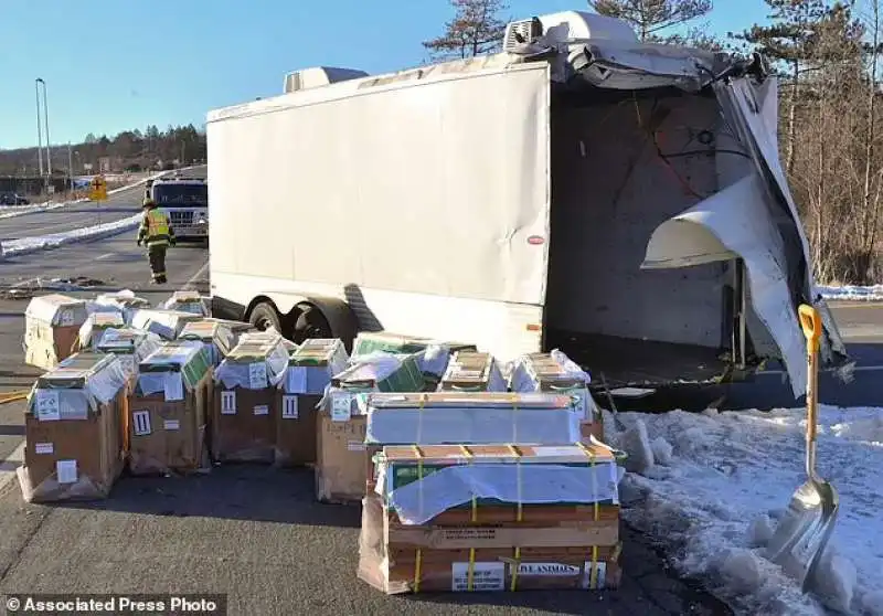 Il camion che trasportava le scimmie