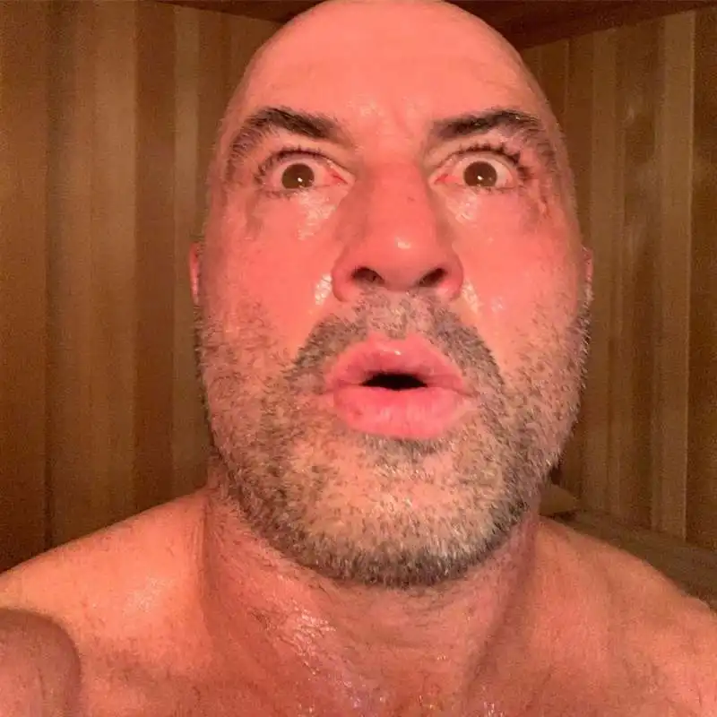 joe rogan 2