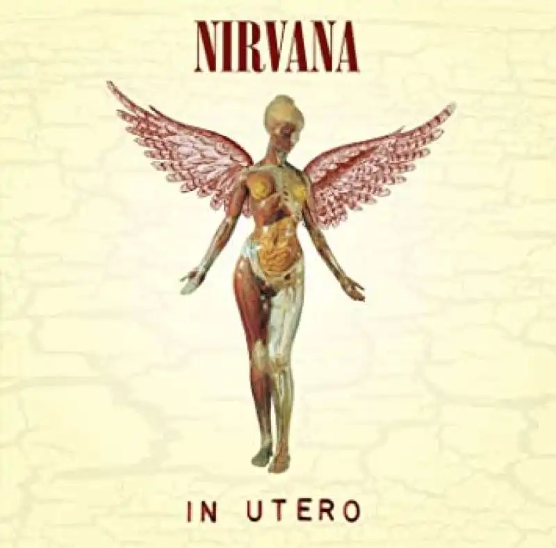 nirvana in utero