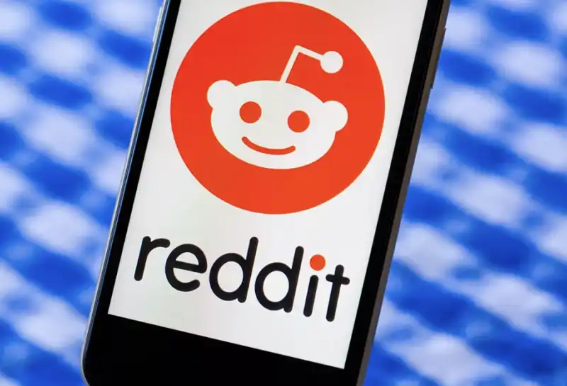 REDDIT 