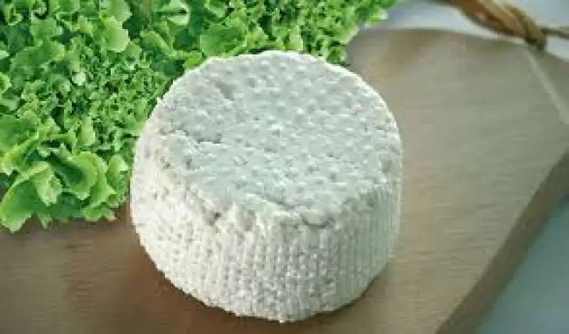 ricotta 5