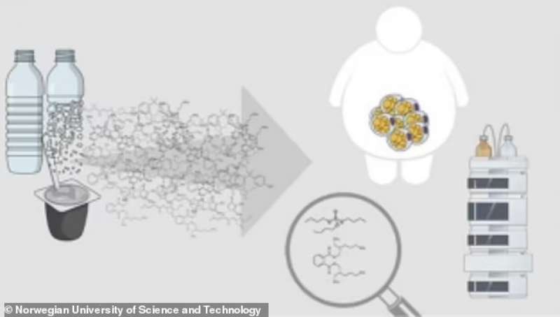 Sostanze chimiche nel nostro corpo