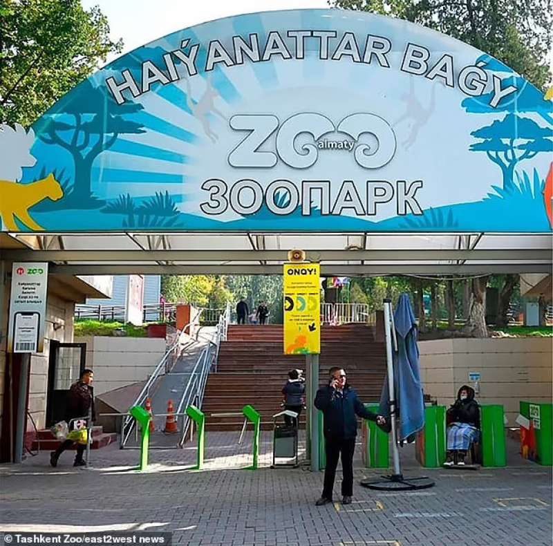 Tashkent Zoo in Uzbekistan