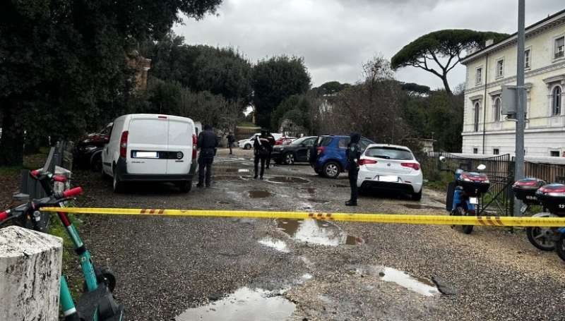 cinghiale narcotizzato a villa pamphilj roma 3