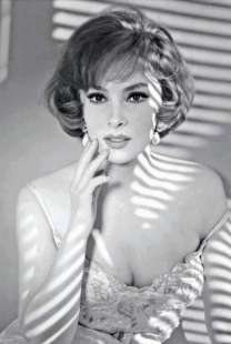 gina lollobrigida