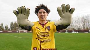 guillermo ochoa