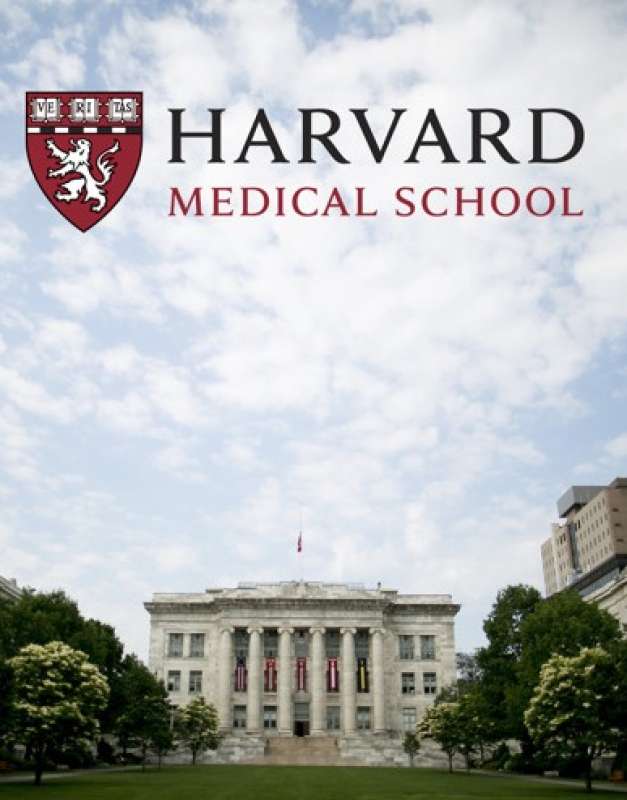 harvard medical school 6