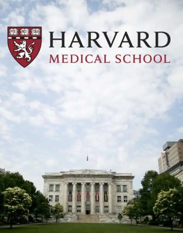 harvard medical school  6