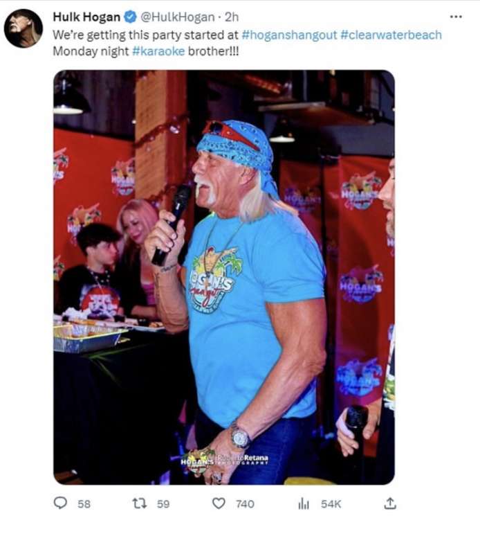 hulk hogan1