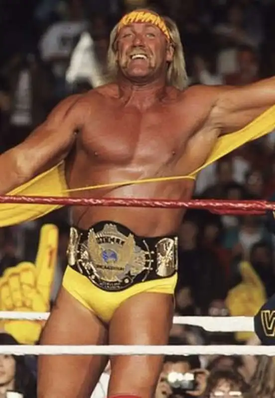 hulk hogan4