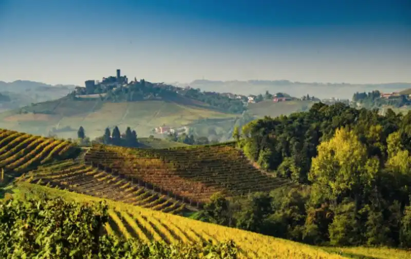 langhe