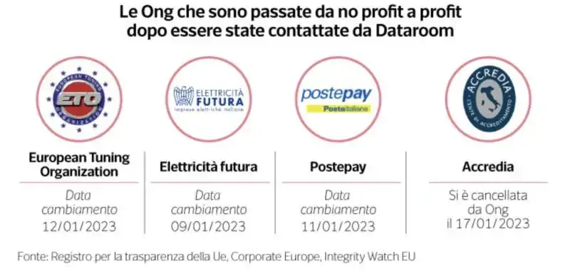 le ong passate da no profit a profit 