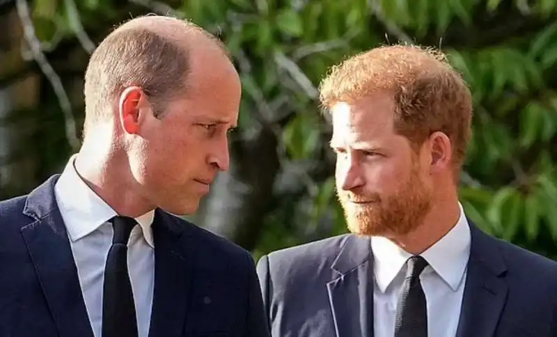 principe william e principe harry