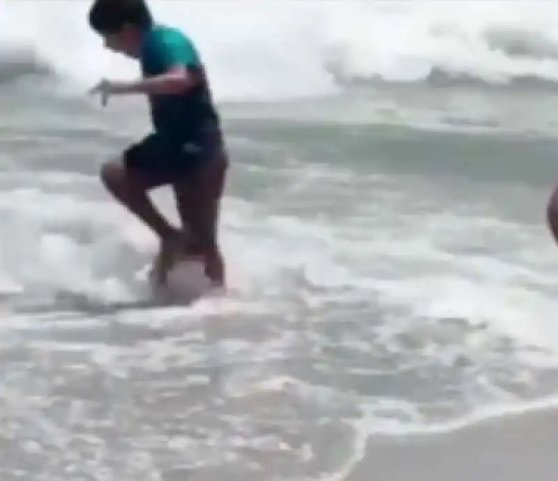 SUDAFRICA - UNA FOCA ATTACCA UN BAMBINO IN SPIAGGIA