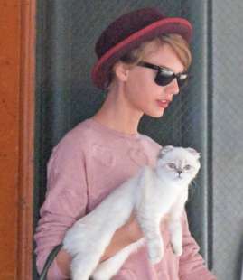 taylor swift con la gatta olivia 1