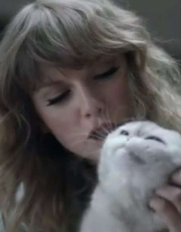 taylor swift con la gatta olivia 3