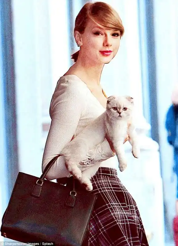 taylor swift con la gatta olivia 5