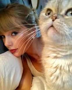 taylor swift con la gatta olivia 6