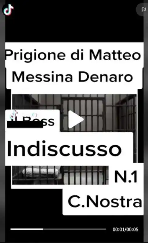 video tiktok su matteo messina denaro 2