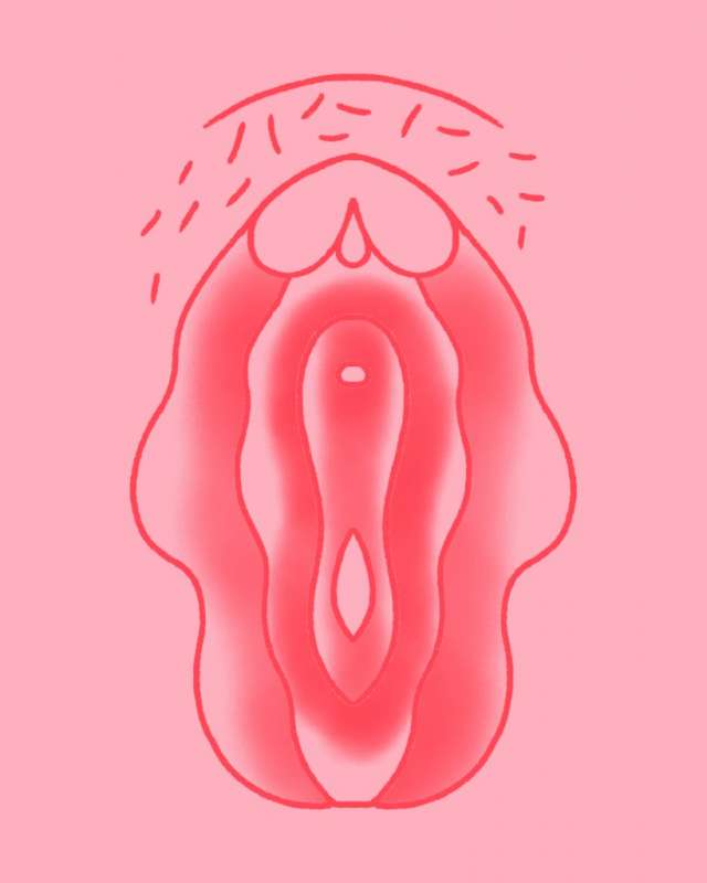 vulva (2)