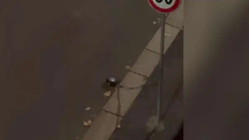 cavo di acciaio teso in strada a milano 2