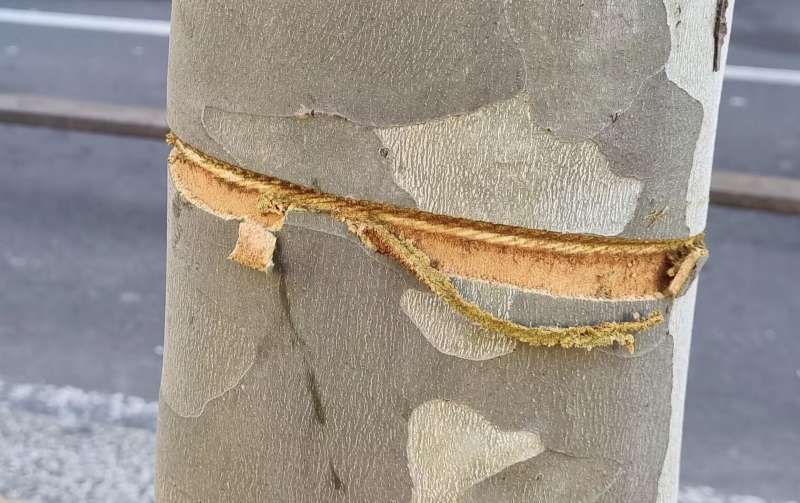 cavo di acciaio teso in strada a milano 7