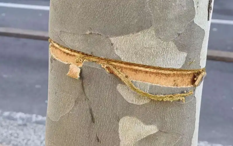 cavo di acciaio teso in strada a milano 7