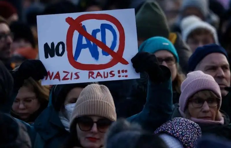 germania   manifestazioni contro afd   1