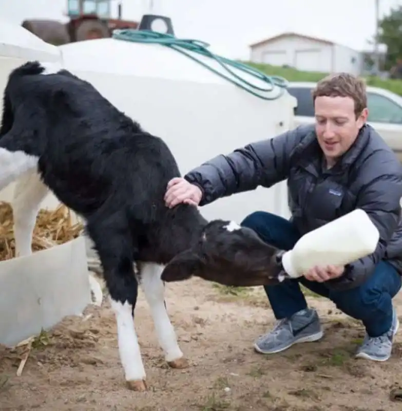 mark zuckerberg