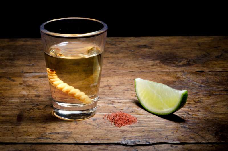 mezcal