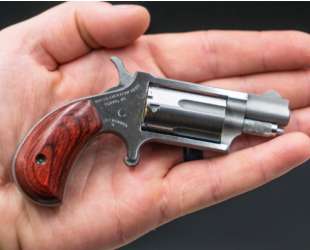 mini revolver North American Arms