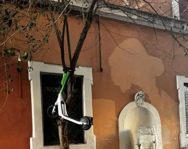 monopattino elettrico su un albero a roma