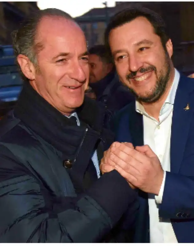 zaia salvini