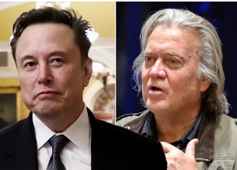  bannon musk