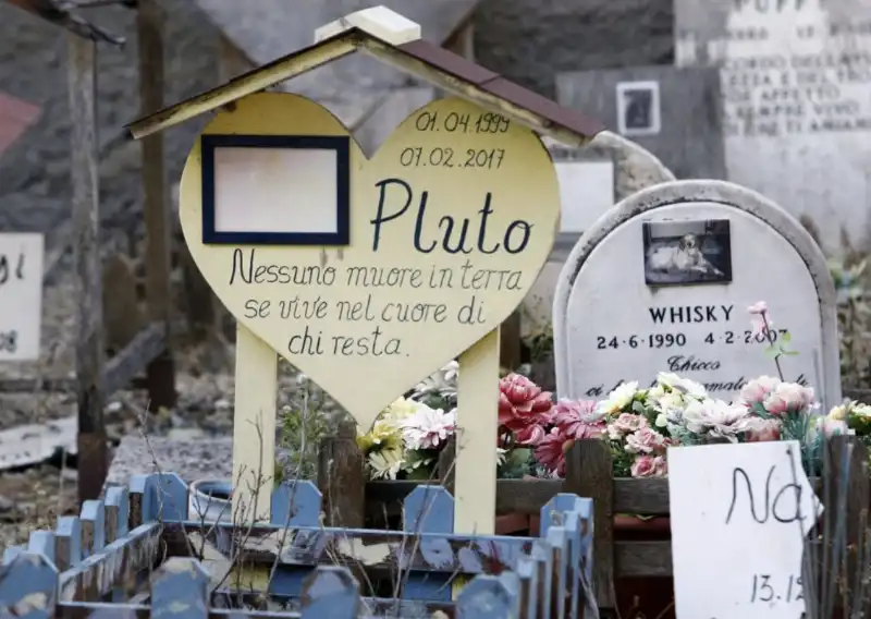 casa rosa   cimitero per animali   3